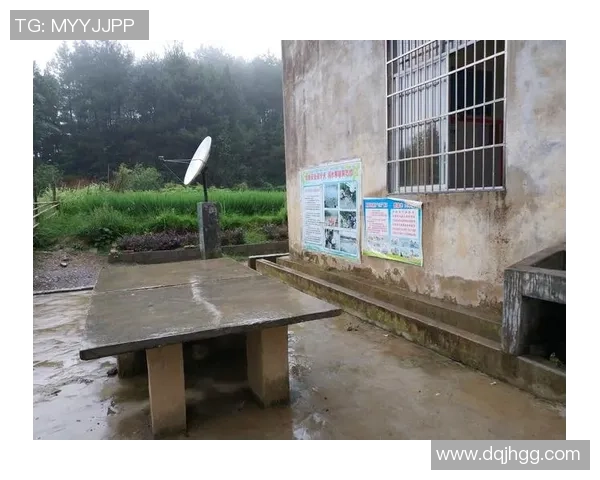 赵敏的乒乓球人生深度对话与成长历程的启示与反思