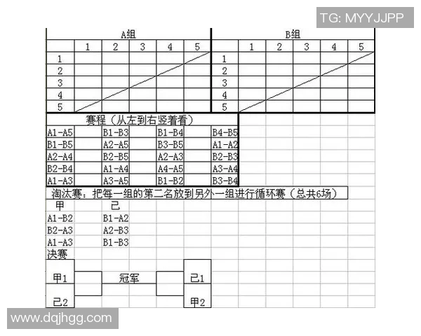 重庆羽毛球队选拔赛精彩点评团队配合与个人表现的完美结合