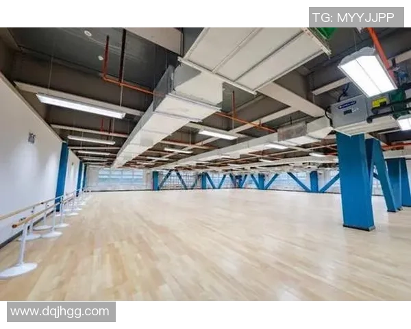 上海乒乓球队运营模式解析与发展策略探讨