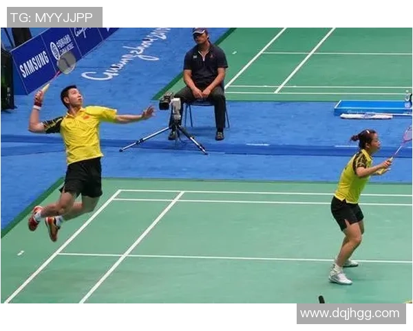 羽毛球战术解析：深入探讨杭州羽毛球队的防守与反击策略