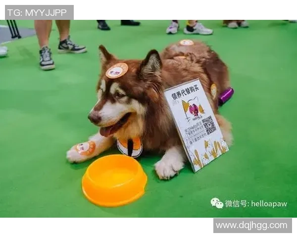 足球明星携手公益唱响希望之歌助力社会温暖与关爱